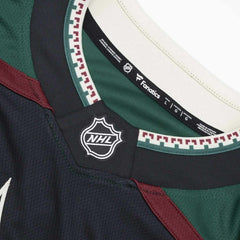 Arizona Coyotes Breakaway NHL Jersey Home Black Taass sale