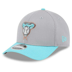 Arizona Diamondbacks Colorway 2025 MLB Batting Practice 9FORTY M-Crown Snapback Cap Gray Fashion