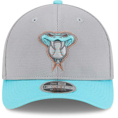 Arizona Diamondbacks Colorway 2025 MLB Batting Practice 9FORTY M-Crown Snapback Cap Gray Fashion