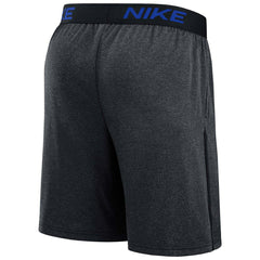 Detroit Tigers 2024 City Connect MLB Authentic Nike Dri-FIT Shorts Taass for sale