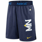 Minnesota Twins 2024 City Connect MLB Authentic Nike Dri-FIT Shorts Classic