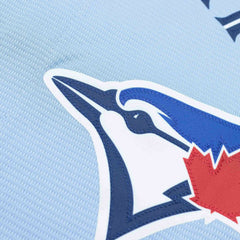 Toronto Blue Jays MLB Alternate Jersey Blue Lifestyle