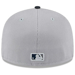 Washington Nationals Colorway 2025 MLB Batting Practice 59FIFTY Fitted Cap Gray Fashion