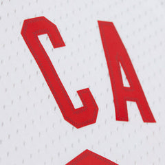 Vince Carter #15 New Jersey Nets 2005-06 Swingman NBA Jersey White Taass sale