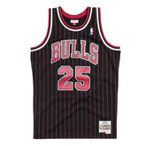 Steve Kerr #25 Chicago Bulls 1995-96 Swingman NBA Jersey Pinstripe Taass for sale