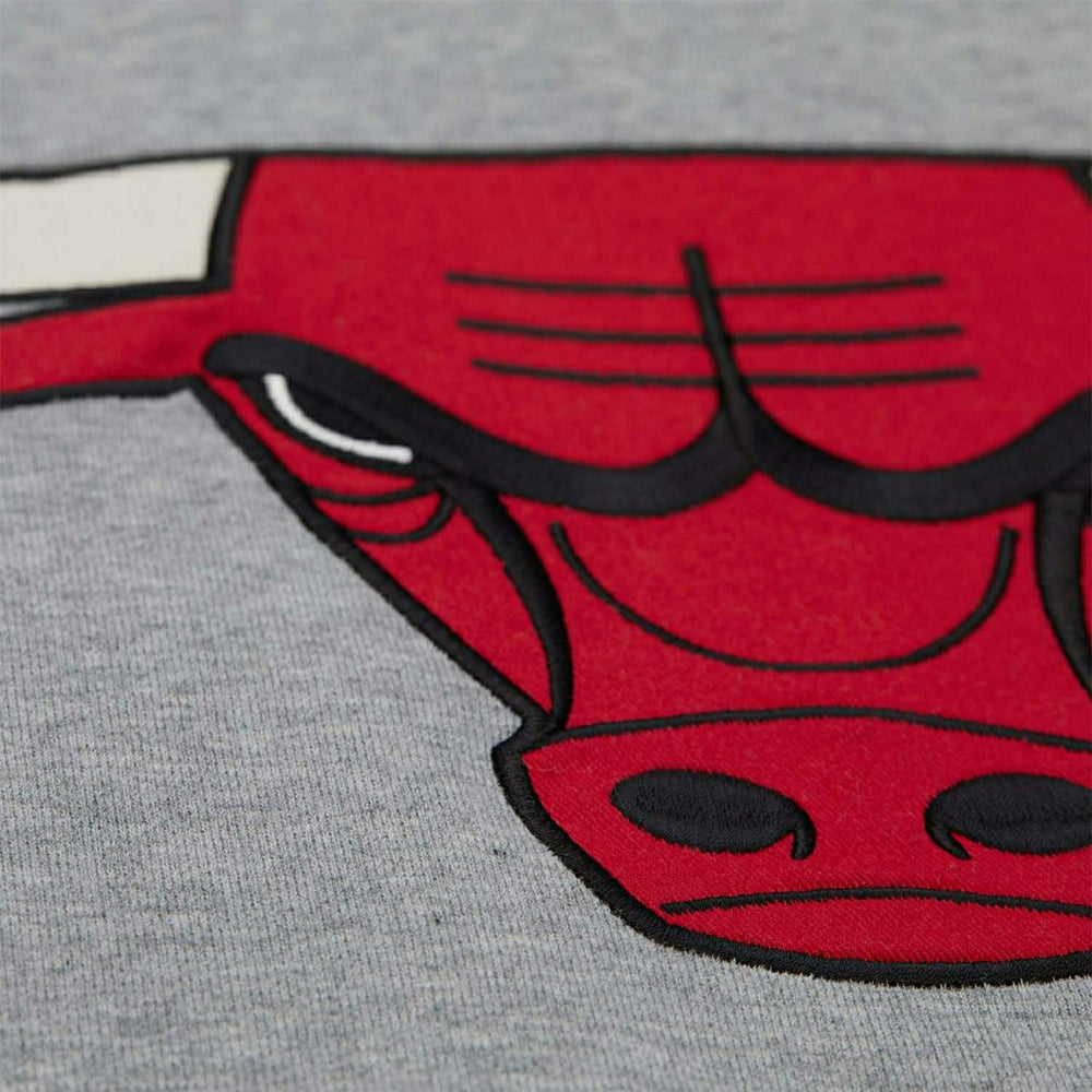 Chicago Bulls Mitchell & Ness Heritage Fleece NBA Hoodie Gray Fashion