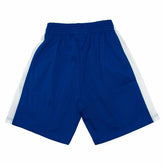 Los Angeles Clippers 2002-03 Mitchell & Ness Swingman NBA Shorts Blau Taass sale