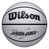 LeBron James UV Player Icon NBA Basketball (Size 7) Taass for sale