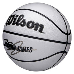 LeBron James UV Player Icon NBA Basketball (Size 7) Taass for sale