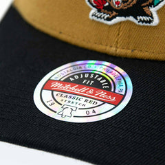 Vancouver Grizzlies Team Arch Classic Red Stretch-Snap NBA Cap Khaki Fashion