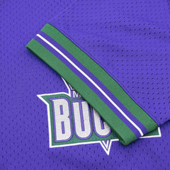 Milwaukee Bucks Unbeaten Mitchell & Ness NBA V-Neck Mesh Shirt Purple Taass for sale