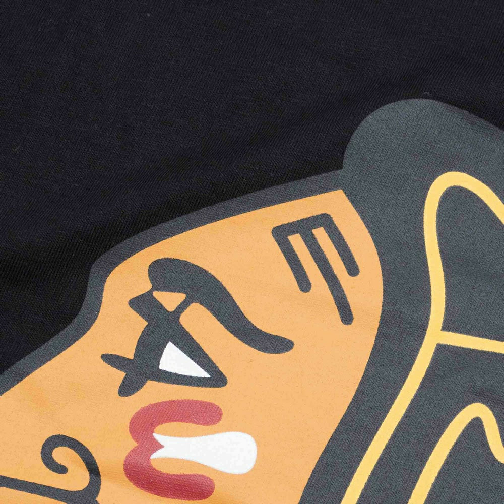 Chicago Blackhawks Team Logo '47 Echo NHL T-Shirt Black Fashion