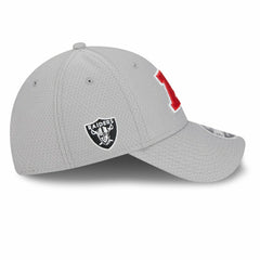 Las Vegas Raiders AFC 2024 Pro Bowl New Era Stretch-Snap 9FORTY NFL Cap Gray Lifestyle