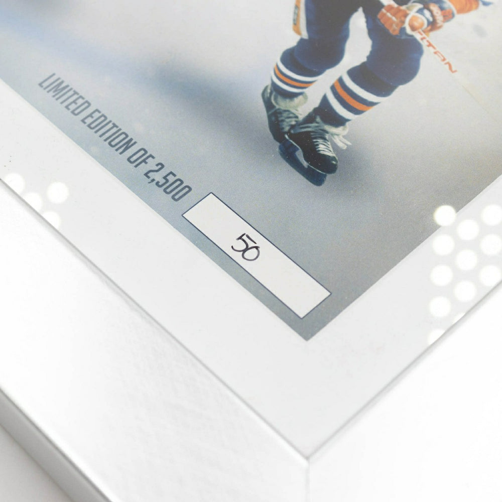 Wayne Gretzky The Great One Panorama Silver Coin Framed NHL Photo Lifestyle