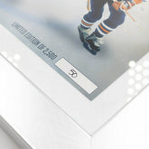 Wayne Gretzky The Great One Panorama Silver Coin Framed NHL Photo Lifestyle
