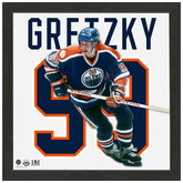 Wayne Gretzky #99 Edmonton Oilers Impact Jersey Framed NHL Photo Taass sale