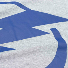 Tampa Bay Lightning Primary Logo NHL T-Shirt Gray Taass US