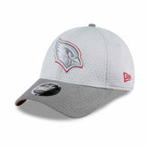 Arizona Cardinals 2024 NFL Training Camp New Era Stretch-Snap 9FORTY Cap Gray Classic