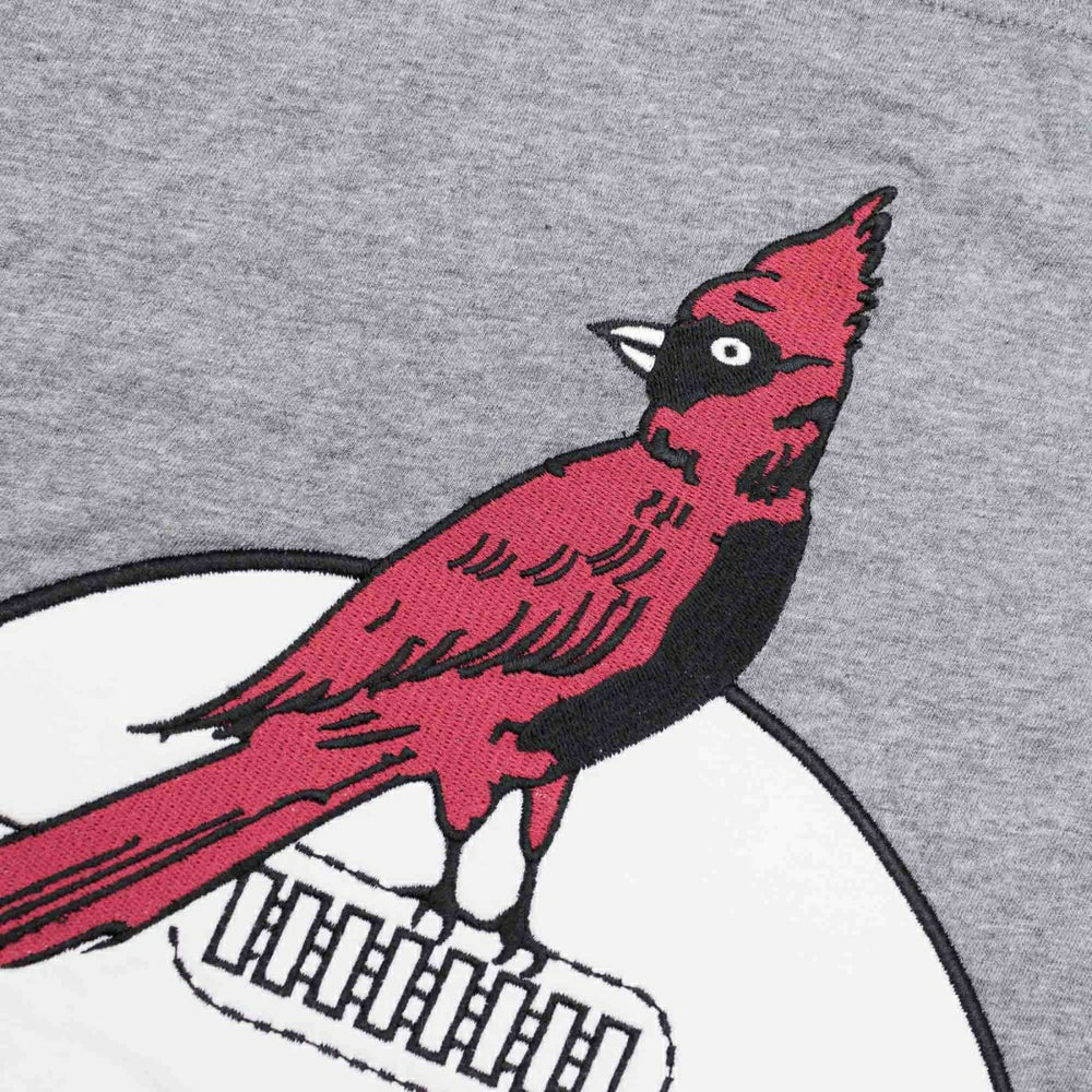Arizona Cardinals Mitchell & Ness Color Blocked NFL Throwback T-Shirt Fashion