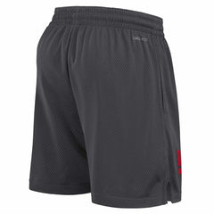 Buffalo Bills 2024 NFL Sideline Mesh Nike Dri-FIT Shorts Gray Taass for sale