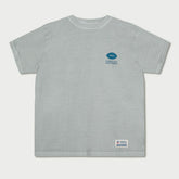 Carolina Panthers L&L '89 Classics NFL T-Shirt Gray Taass sale