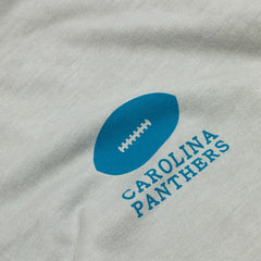 Carolina Panthers L&L '89 Classics NFL T-Shirt Gray Taass sale