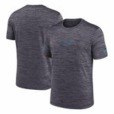 Carolina Panthers 2025 NFL Sideline Nike Velocity Performance T-Shirt Gray Taass US
