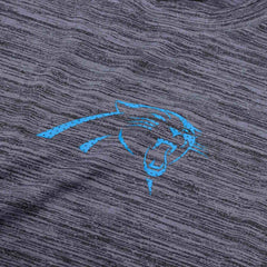 Carolina Panthers 2025 NFL Sideline Nike Velocity Performance T-Shirt Gray Taass US