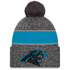 Carolina Panthers Gray 2023 NFL Sideline New Era Sport Knit Hat Taass US