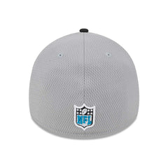 Carolina Panthers Colorway 2023 NFL Sideline New Era 39THIRTY Flex Cap Gray Lifestyle