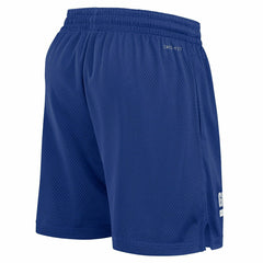 New York Giants 2024 NFL Sideline Mesh Nike Dri-FIT Shorts Blue Fashion