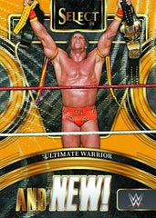 2024 Panini Select WWE Wrestling International Hobby Box Fashion