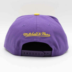 LSU Tigers Team Tone Mitchell & Ness Original Fit Snapback NCAA Cap Classic