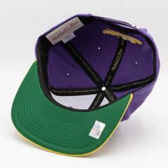 LSU Tigers Team Tone Mitchell & Ness Original Fit Snapback NCAA Cap Classic