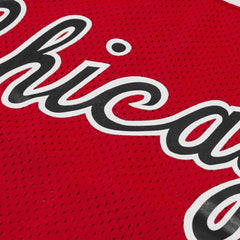 Michael Jordan #23 Chicago Bulls 1984-85 Authentic NBA Jersey Red Taass sale