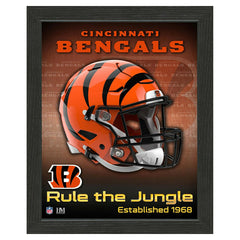 Cincinnati Bengals NFL Team Helmet Framed Photo Taass for sale