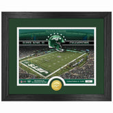 New York Jets Team Stadium Bronze Coin Framed NFL Photo Fashion