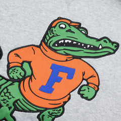 Florida Gators Pinnacle Mitchell & Ness Heavyweight Fleece NCAA Hoodie Lifestyle