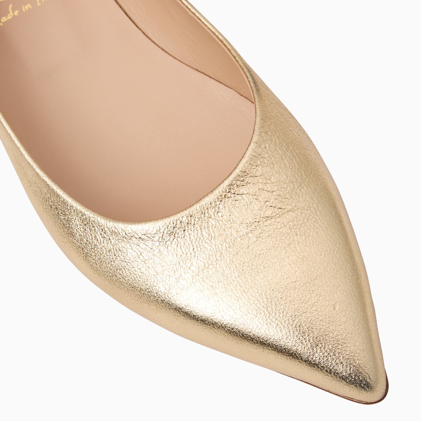 Gabrisa Italian Leather Flat