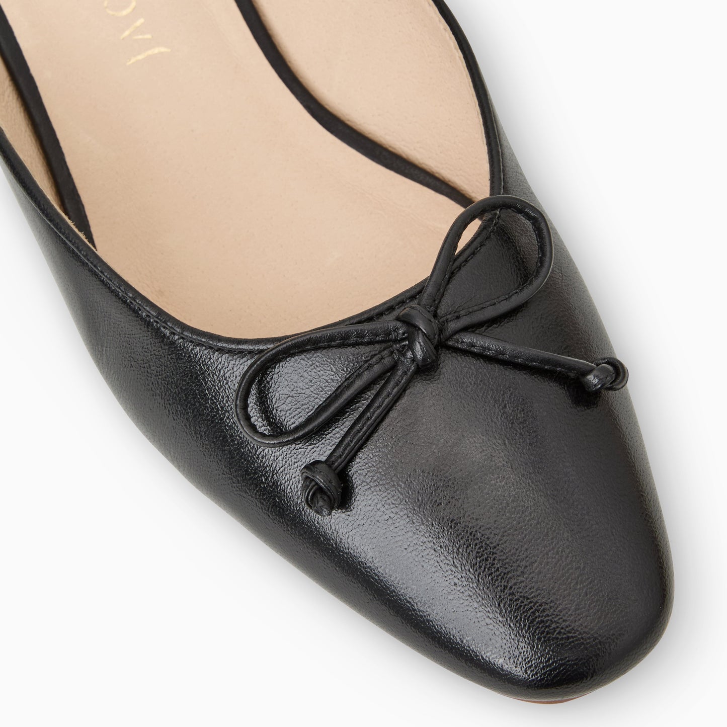 Ginny Mule