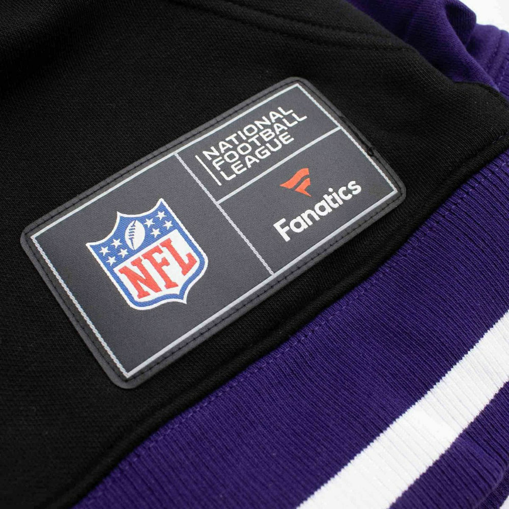 Baltimore Ravens Foundation NFL Hoodie Purple Taass for sale
