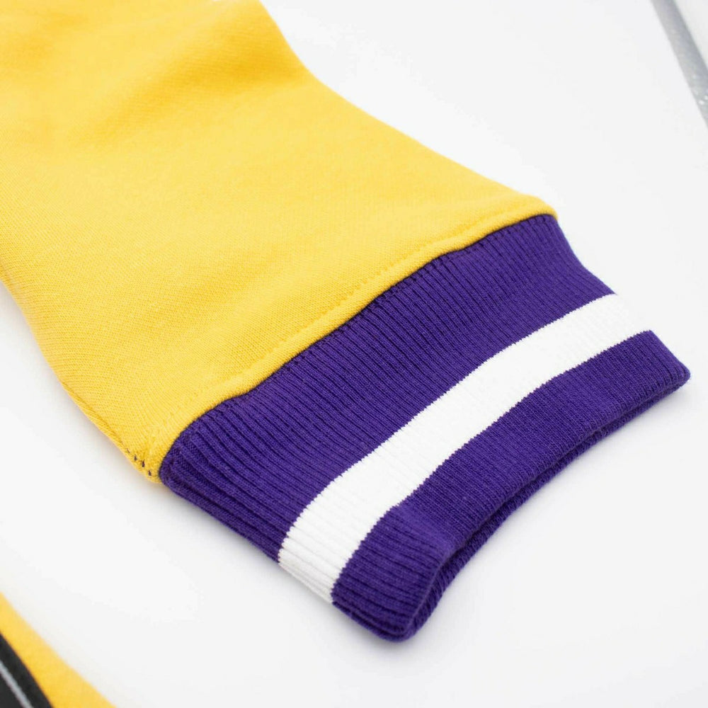 Minnesota Vikings Foundation NFL Hoodie Purple Taass for sale