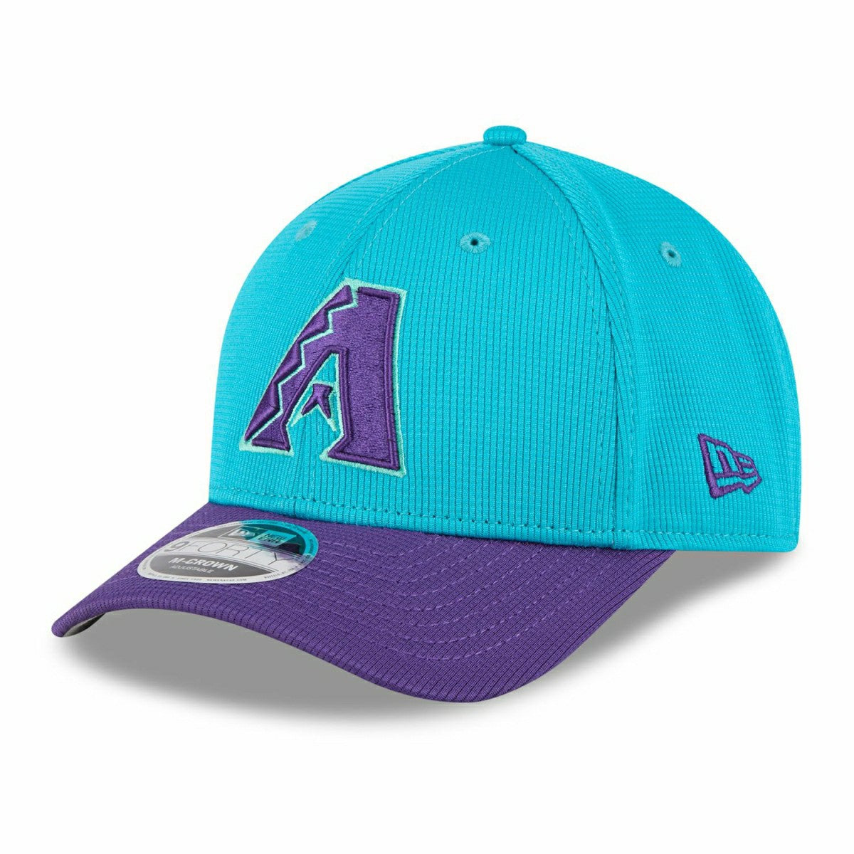 Arizona Diamondbacks 2025 MLB Batting Practice City Connect 9FORTY M-Crown Snapback Cap Taass US