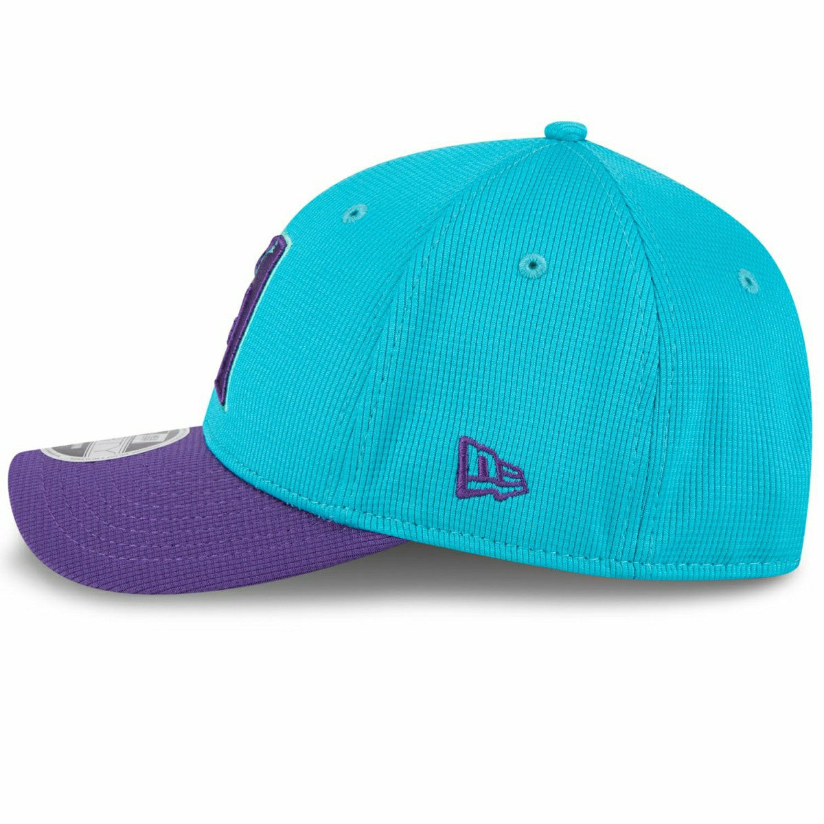 Arizona Diamondbacks 2025 MLB Batting Practice City Connect 9FORTY M-Crown Snapback Cap Taass US
