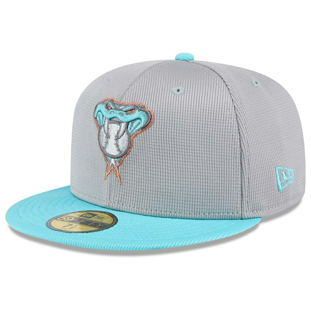 Arizona Diamondbacks Colorway 2025 MLB Batting Practice 59FIFTY Fitted Cap Gray Classic