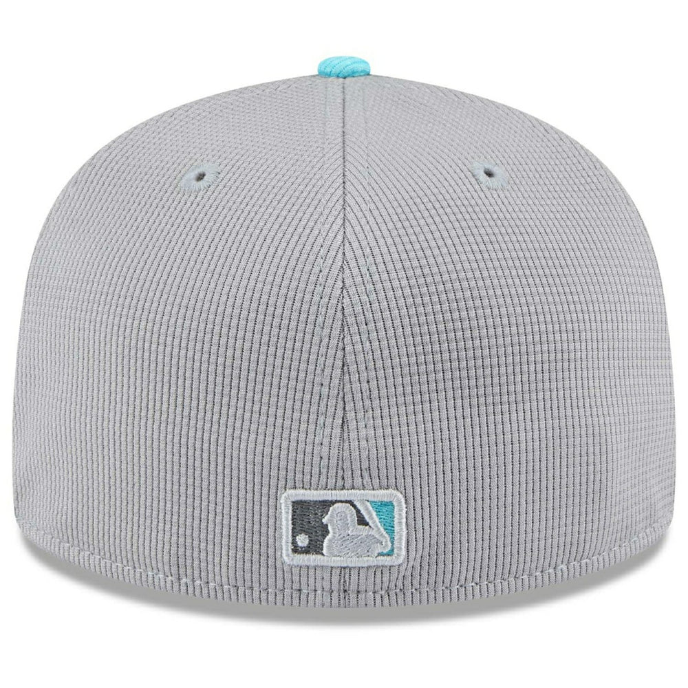 Arizona Diamondbacks Colorway 2025 MLB Batting Practice 59FIFTY Fitted Cap Gray Classic