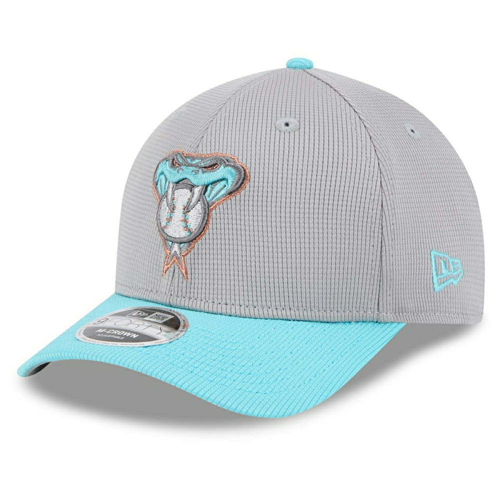 Arizona Diamondbacks Colorway 2025 MLB Batting Practice 9FORTY M-Crown Snapback Cap Gray Fashion