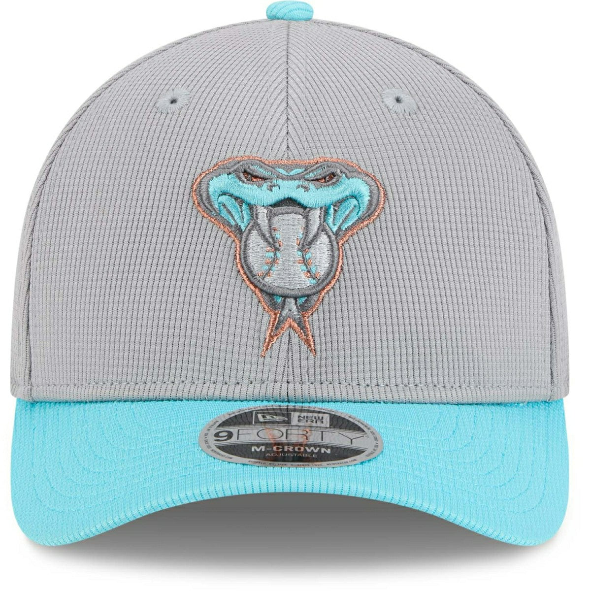 Arizona Diamondbacks Colorway 2025 MLB Batting Practice 9FORTY M-Crown Snapback Cap Gray Fashion