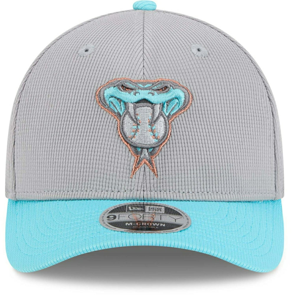 Arizona Diamondbacks Colorway 2025 MLB Batting Practice 9FORTY M-Crown Snapback Cap Gray Fashion