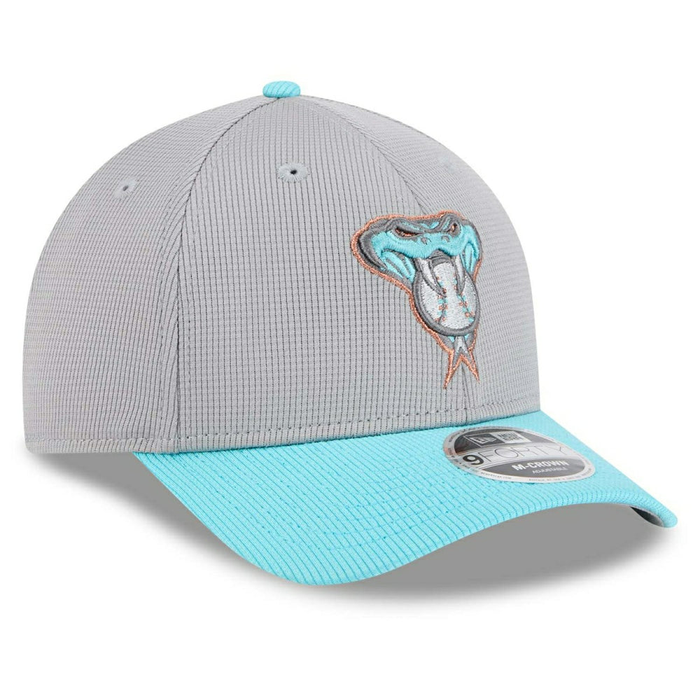 Arizona Diamondbacks Colorway 2025 MLB Batting Practice 9FORTY M-Crown Snapback Cap Gray Fashion